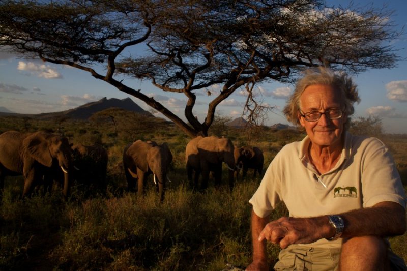 Elephants recognize old friends and humans
