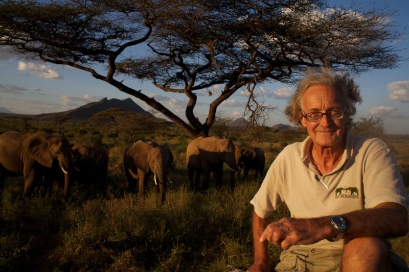 Elephants recognize old friends and humans