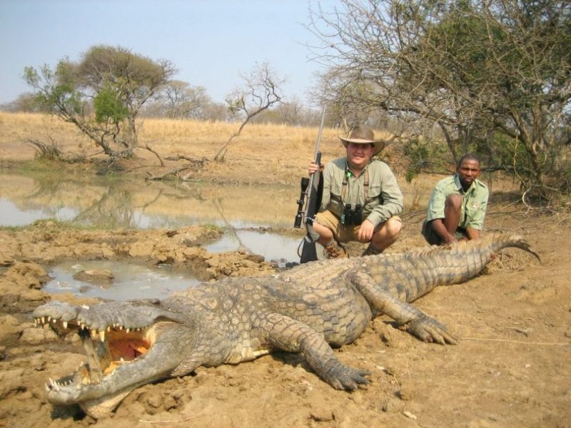 Crocodile hunting