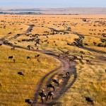 During a balloon ride passengers can have the experience of sweeping across the plains