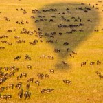 During balloon rides the passengers can have the experience of sweeping across the plains