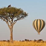 Greater wind speeds on landing on a balloon can affect the safety of a passenger with a medical condition