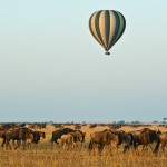 Balloon safari passengers must ensure that they are fit to fly, not suffering from any significant medical condition, and that they have not undergone any recent surgeries