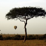 Greater wind speeds on landing on a balloon can affect the safety of a woman who is more than six moths pregnant