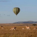 Balloon safari passengers must ensure that they are not suffering from any significant medical condition and that they have not undergone any recent surgeries