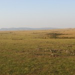 Balloon rides provide good opportunities to view animals in locations prohibited to vehicular movement