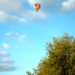 To make the most of the ride hot-air balloon safaris are best done when the weather is calmest at sunrise