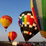 The passengers who first travelled in a hot air balloon were a rooster, duck, and a sheep