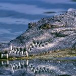 The start-up costs of a crocodile farm is very high