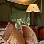 Tented camps are famous for its game-viewing opportunities