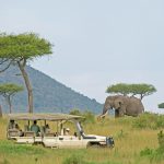 http://www.africaboundadventures.com/african-accommodation/sanctuary-olonana