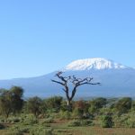 http://kilimakenyatravels.com/8-days-kenya-safari/