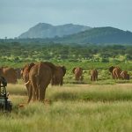 http://www.aardvarksafaris.co.uk/safari-in-kenya-alongside-conservationist-and-tv-presented-saba-douglas-hamilton/