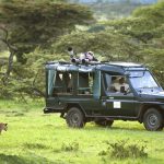 http://www.africanconservation.org/wildlife-safaris