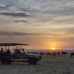https://artofsafari.travel/what-to-do/luxury-safaris-masai-mara/going-safari-magical-masai-mara/