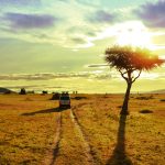 http://theworldhopper.com/kenya-travel-guide