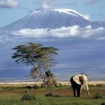 http://fb.junkmail.co.ke/travel-tourism/holiday-weekend-packages/africa/ke/nairobi/nairobi/best-nairobi-kenya-day-game-drive-one-day-amboseli-wildlife-safari-299771.html