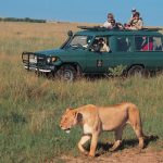 http://greatsafaris.com/kenya-adventure-safari/