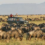 http://safari-consultants.com/on-safari/safari-activities-special-interests