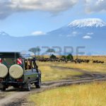 http://www.123rf.com/stock-photo/game_drive.html