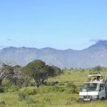 http://alibabatoursandsafaris.com/index.php/3-days-kenya-road-safari-packages-from-mombasa