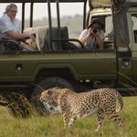 http://safari-consultants.com/on-safari/private-specialist-guiding