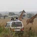 http://africangatestours.com/safaris/