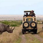 https://travel.jumia.com/blog/3-days-maasai-mara-safari-kenya-2245
