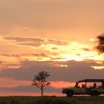 http://www.bushtracks.com/destinations-and-trips/accommodation/fairmont-mara-safari-club