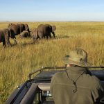 http://www.nathab.com/africa/best-of-kenya-tour/accommodations/maasai-mara-private-conservancy-kenya/