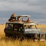 http://www.gettyimages.com/photos/masai-mara-national-reserve?excludenudity=true&sort=mostpopular&mediatype=photography&phrase=masai%20mara%20national%20reserve
