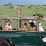 http://www.eaexoticsafaris.com/16-days-luxury-safari