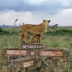 http://www.eastafricashuttles.com/nairobisafari-excursions/Nairobi-excursions/Nairobi-Nationalpark.htm