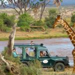 http://southernafricatravel.com/tours/luxury_african_safari/kenya-safari-wildlife-warriors/