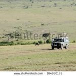 https://www.shutterstock.com/search/safari+car?searchterm=safari%20car&page=2