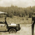 http://www.sarunimara.com/experience/game-drive-etiquette.htm