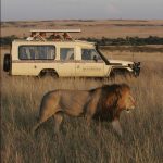 http://www.covingtontravel.com/2013/09/from-sunrise-to-sundowners-a-day-on-safari-in-kenya/