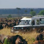 http://www.mpata-masaimara.com/gamedrives.htm