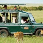 http://www.safarisonline.co.uk/package/mara-migration-safaris/