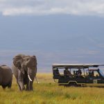 http://www.slideshare.net/buddhidayan/chobe-national-park-and-game-drives