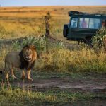 https://www.naturalworldsafaris.com/africa/kenya/when-to-go/april