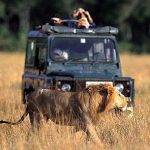 http://www.kenyabudgetcamping.com/3_days_masai_mara_budget_camping_daily_deparure_joining_safari.htm