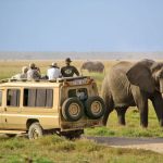http://www.africajoytours.com/kenya-safari-packages/
