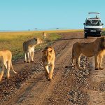 http://www.kenyatoursandsafaris.com/index.php/kenya-safaris?layout=edit&id=85