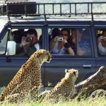 http://www.gracepattsafaris.com/tanzania%20lodge%20safaris.html