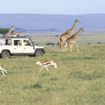 http://www.kenyasafari.com/lewa-samburu-mara-premier-safari.html