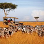 http://www.mpata-masaimara.com/gamedrives.htm