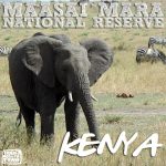 http://www.ivanhenares.com/2015/10/kenya-safari-tour-maasai-mara.html