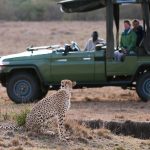 http://www.aardvarksafaris.co.uk/masai-mara-the-perfect-kenyan-holiday/