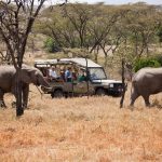 https://cruzeiro-safaris.com/kenya-zanzibar